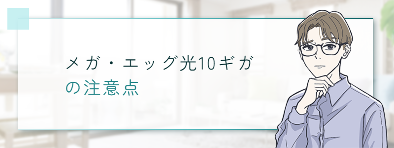 メガ・エッグ光10ギガの注意点