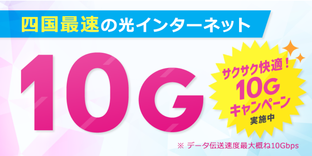 ピカラ光12ヶ月間お試しキャンペーンのスクショ