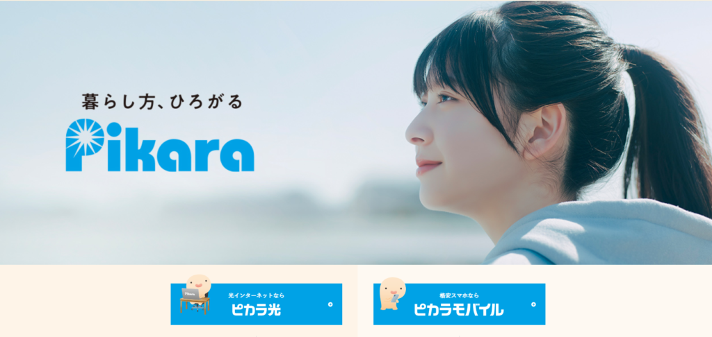 ピカラ光のトップページのスクショ