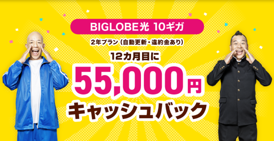 ビッグローブ光公式サイトのスクショ