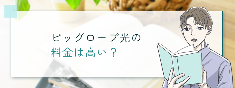 ビッグローブ光の料金は高い？