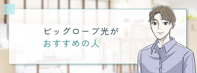 ビッグローブ光がおすすめの人